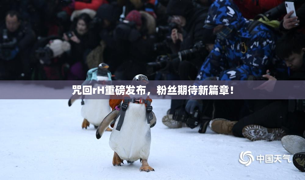 咒回rH重磅发布，粉丝期待新篇章！