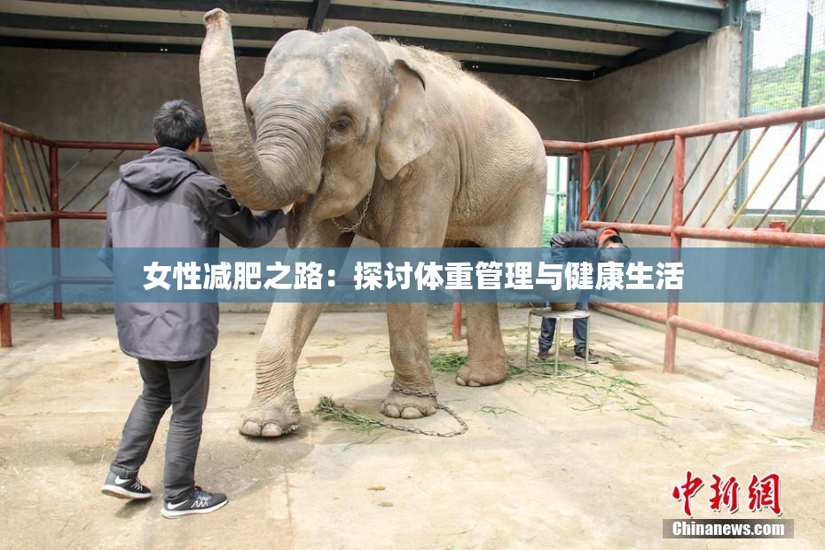 女性减肥之路：探讨体重管理与健康生活