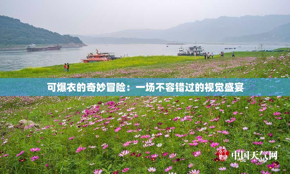 可爆衣的奇妙冒险：一场不容错过的视觉盛宴