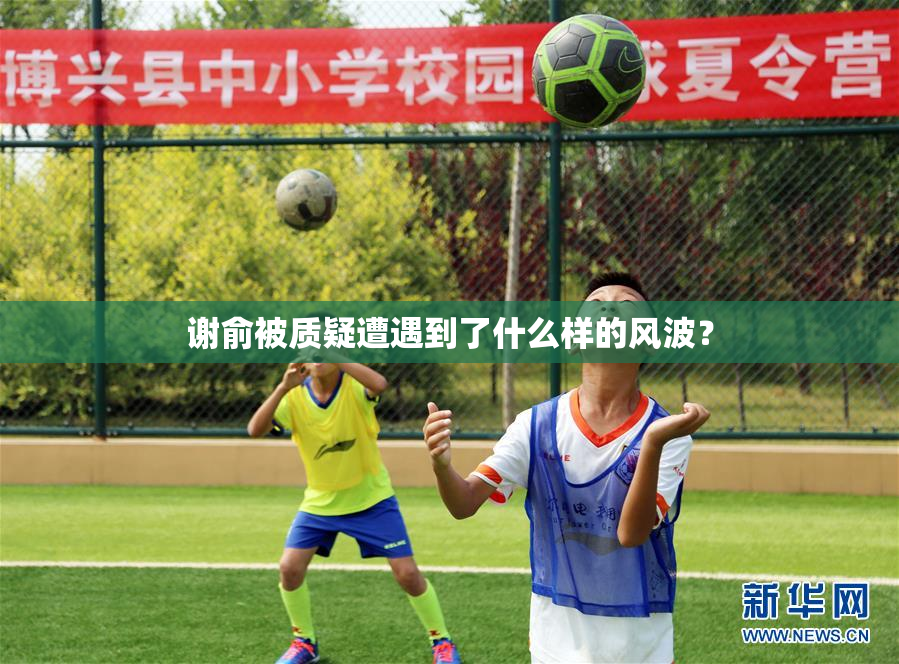 谢俞被质疑遭遇到了什么样的风波？