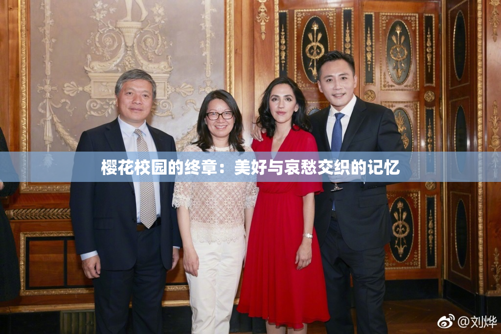 樱花校园的终章：美好与哀愁交织的记忆