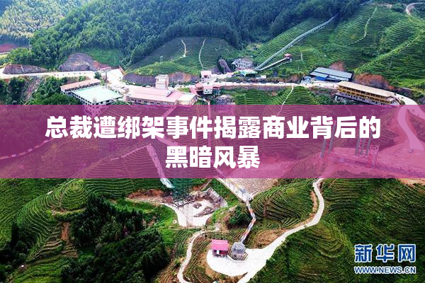 总裁遭绑架事件揭露商业背后的黑暗风暴