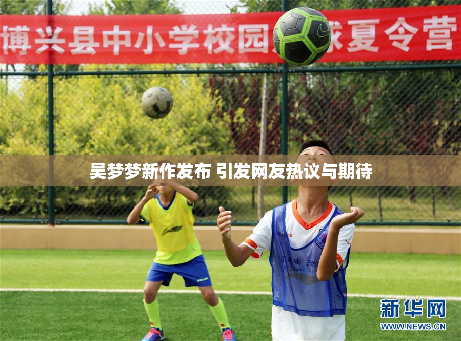 吴梦梦新作发布 引发网友热议与期待