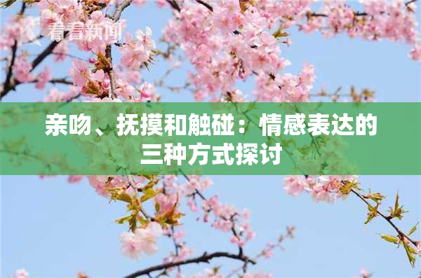 亲吻、抚摸和触碰：情感表达的三种方式探讨