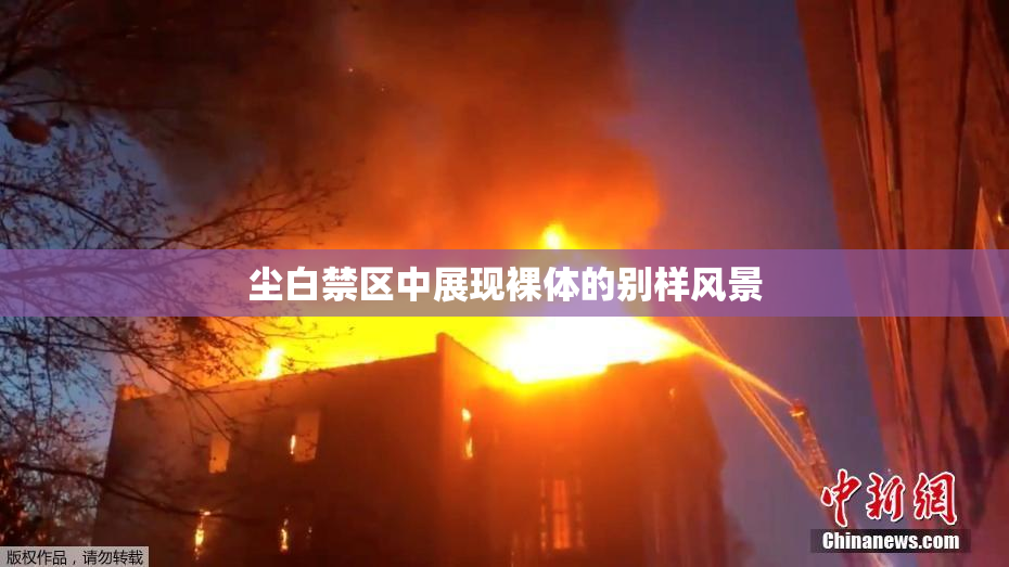 尘白禁区中展现裸体的别样风景