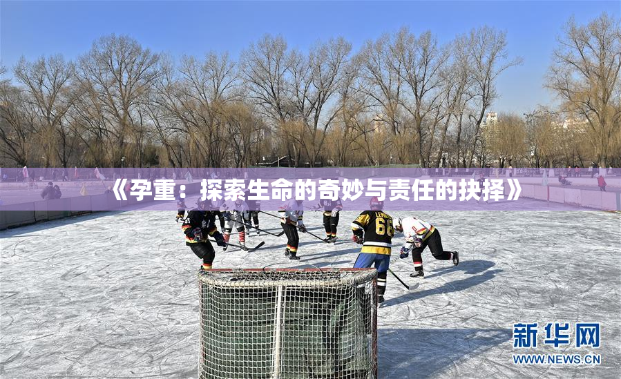 《孕重：探索生命的奇妙与责任的抉择》