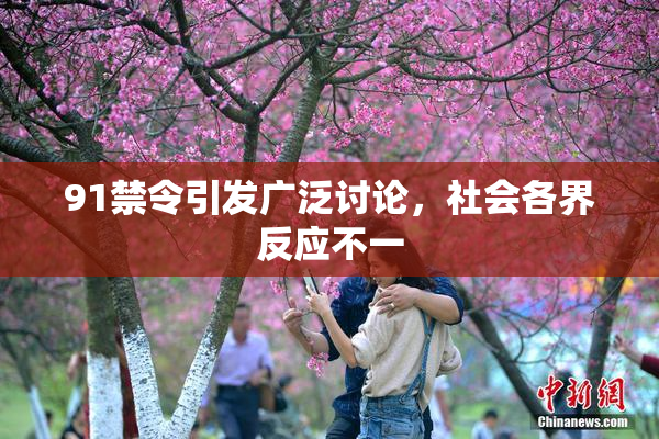 91禁令引发广泛讨论，社会各界反应不一