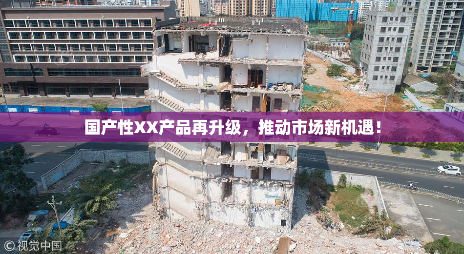 国产性XX产品再升级，推动市场新机遇！