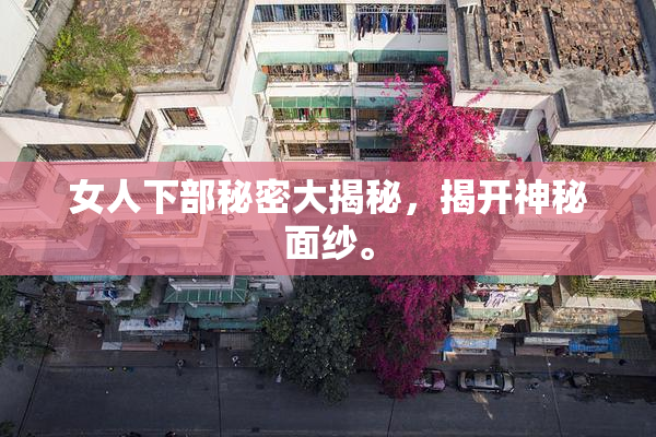 女人下部秘密大揭秘，揭开神秘面纱。