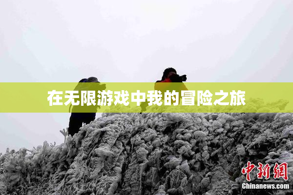 在无限游戏中我的冒险之旅