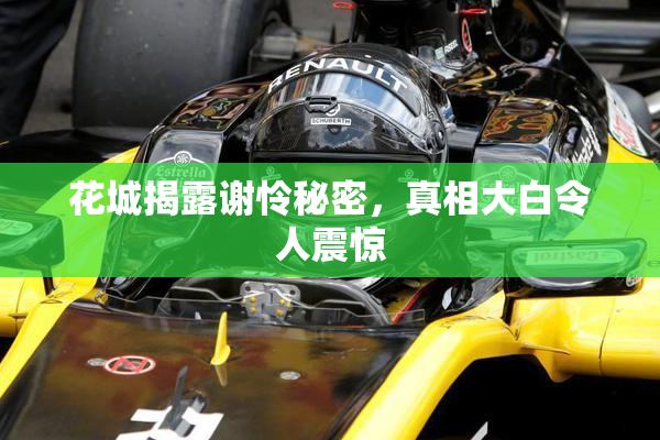 花城揭露谢怜秘密，真相大白令人震惊
