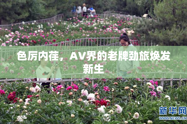 色厉内荏，AV界的老牌劲旅焕发新生