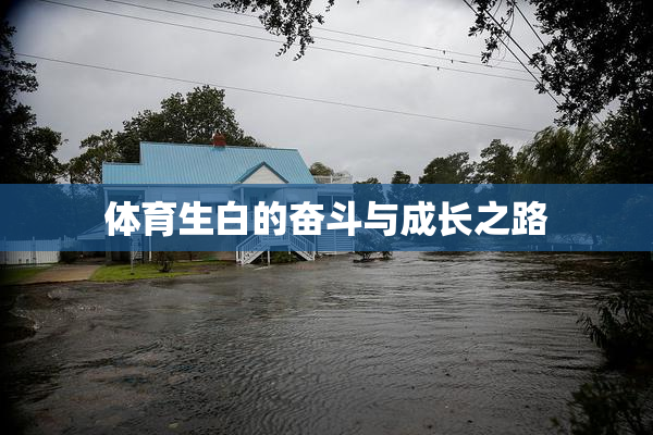 体育生白的奋斗与成长之路