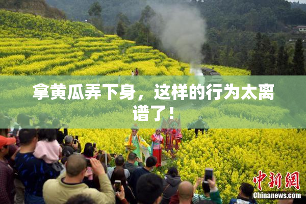 拿黄瓜弄下身，这样的行为太离谱了！