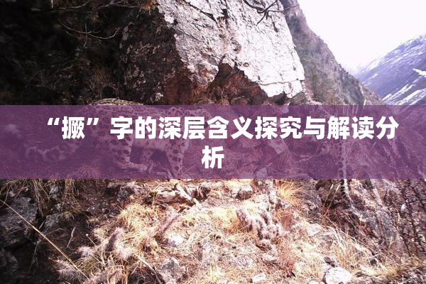 “撅”字的深层含义探究与解读分析