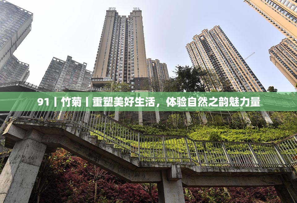91丨竹菊丨重塑美好生活，体验自然之韵魅力量