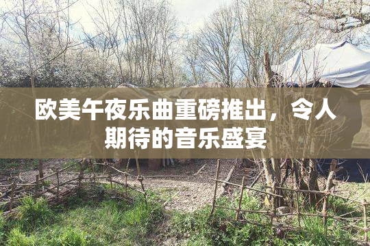 欧美午夜乐曲重磅推出，令人期待的音乐盛宴