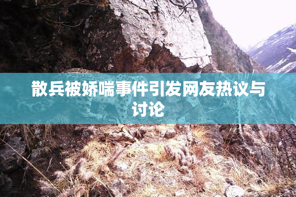 散兵被娇喘事件引发网友热议与讨论