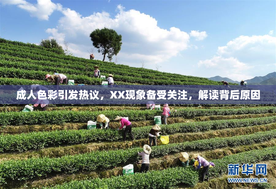 成人色彩引发热议，XX现象备受关注，解读背后原因