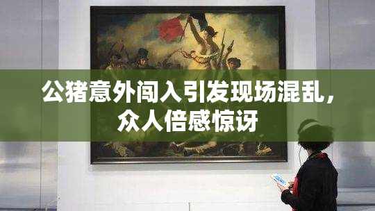 公猪意外闯入引发现场混乱，众人倍感惊讶