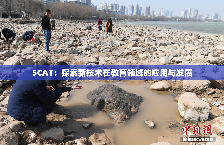 SCAT：探索新技术在教育领域的应用与发展