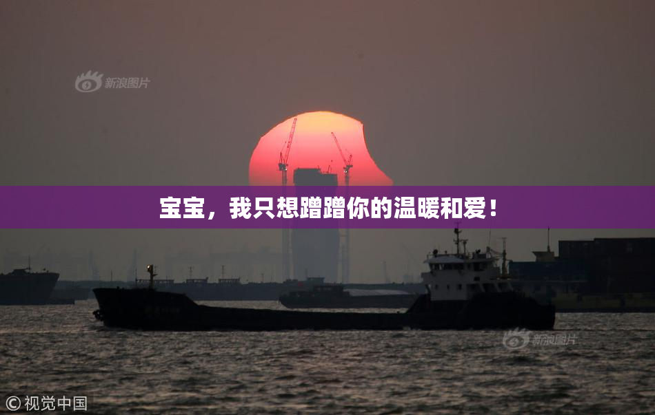 宝宝，我只想蹭蹭你的温暖和爱！