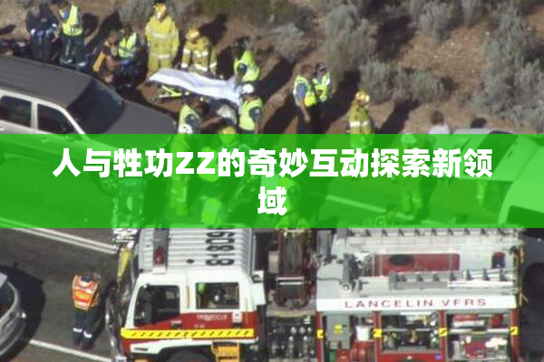 人与牲功ZZ的奇妙互动探索新领域
