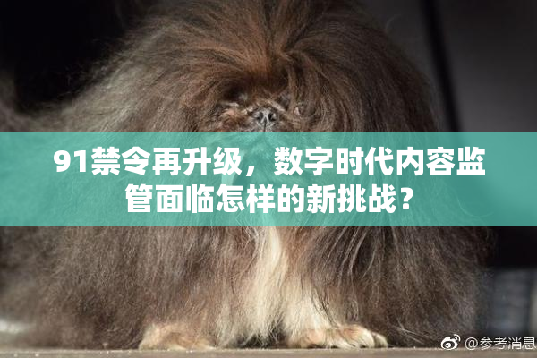 91禁令再升级，数字时代内容监管面临怎样的新挑战？
