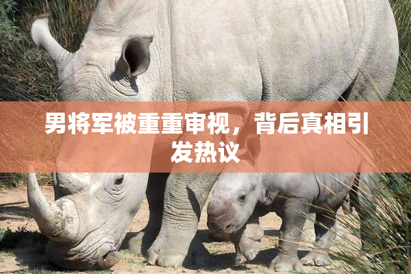 男将军被重重审视，背后真相引发热议