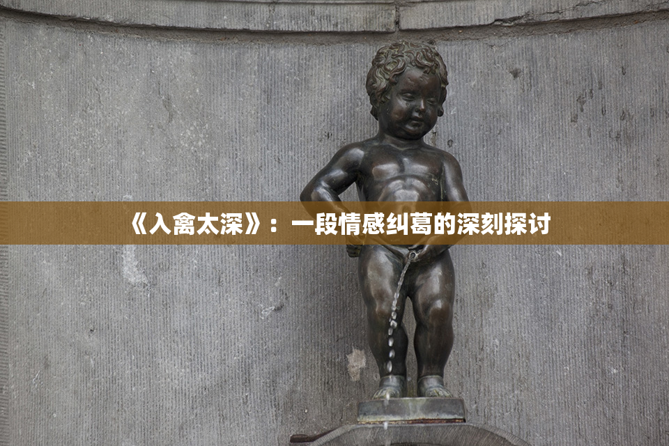 《入禽太深》：一段情感纠葛的深刻探讨