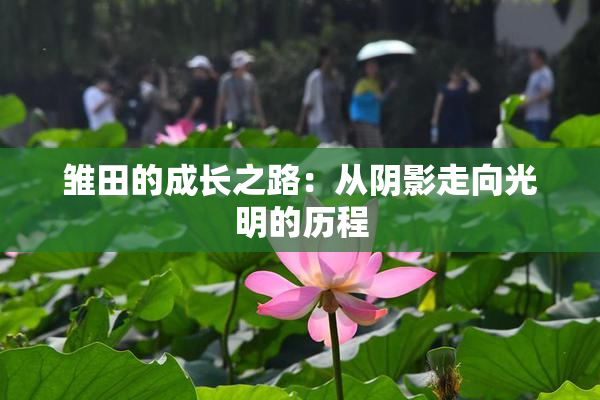 雏田的成长之路：从阴影走向光明的历程