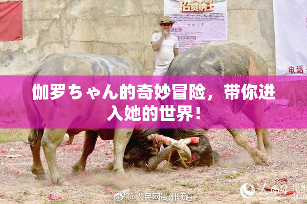 伽罗ちゃん的奇妙冒险，带你进入她的世界！