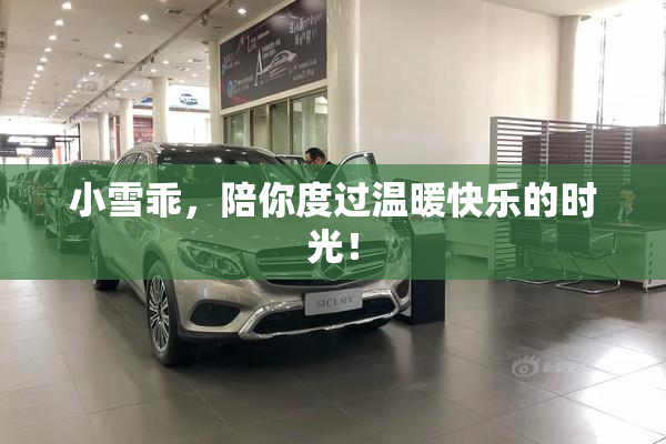 小雪乖，陪你度过温暖快乐的时光！