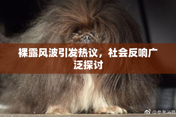 裸露风波引发热议，社会反响广泛探讨