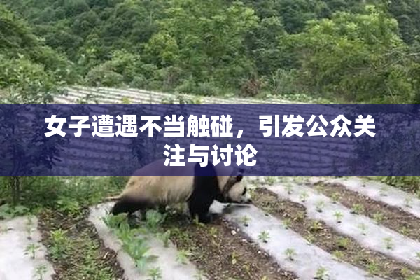 女子遭遇不当触碰，引发公众关注与讨论