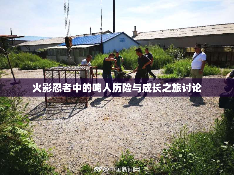 火影忍者中的鸣人历险与成长之旅讨论