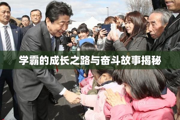 学霸的成长之路与奋斗故事揭秘