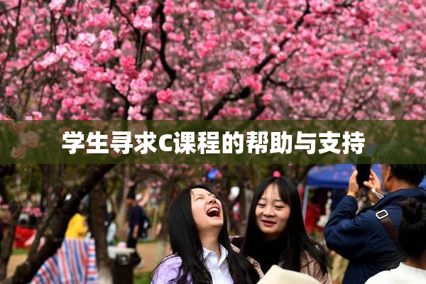 学生寻求C课程的帮助与支持