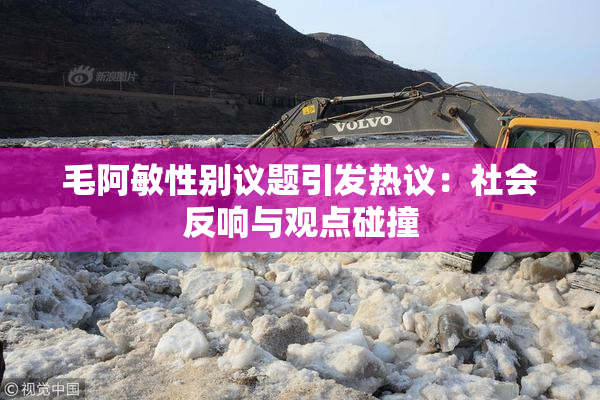 毛阿敏性别议题引发热议：社会反响与观点碰撞