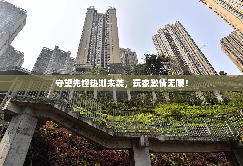 守望先锋热潮来袭，玩家激情无限！
