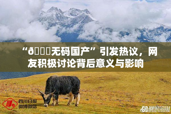 “🔞无码国产”引发热议，网友积极讨论背后意义与影响
