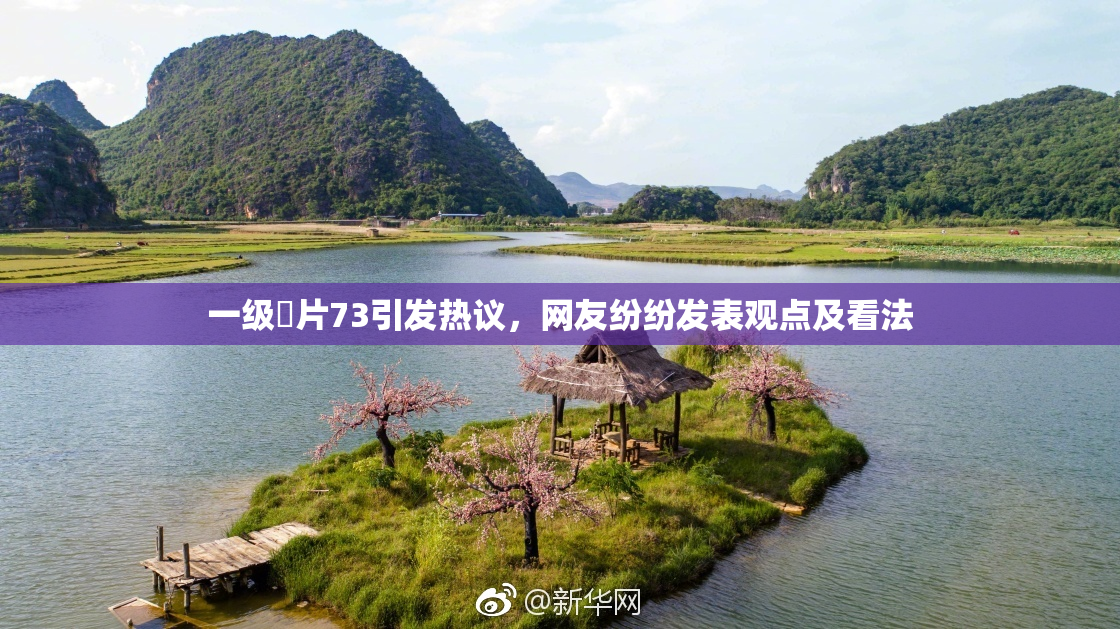 一级婬片73引发热议，网友纷纷发表观点及看法
