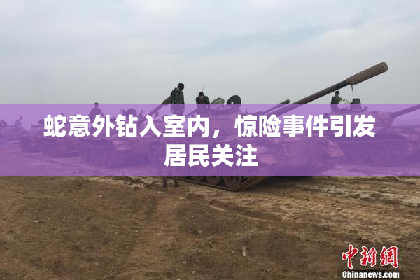 蛇意外钻入室内，惊险事件引发居民关注