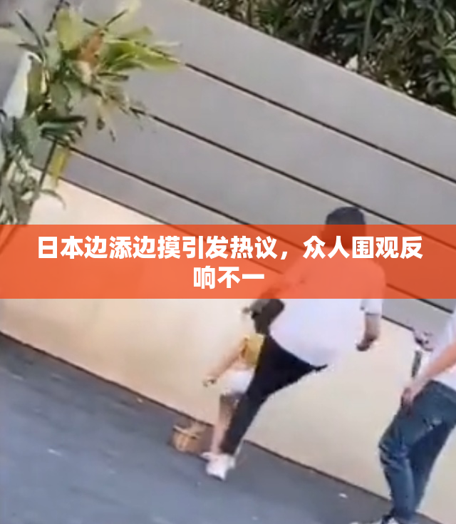 日本边添边摸引发热议，众人围观反响不一