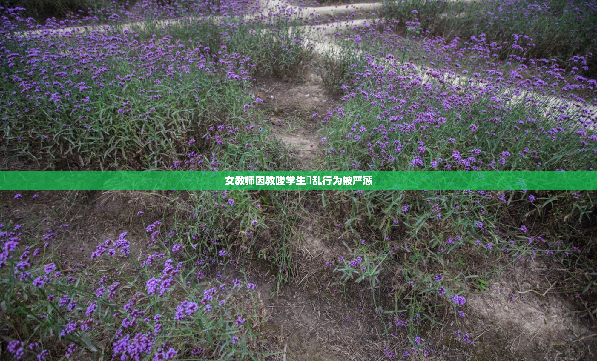 女教师因教唆学生婬乱行为被严惩