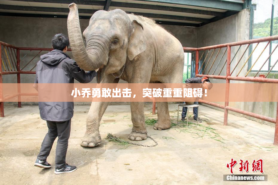 小乔勇敢出击，突破重重阻碍！