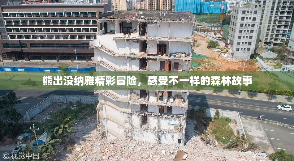 熊出没纳雅精彩冒险，感受不一样的森林故事