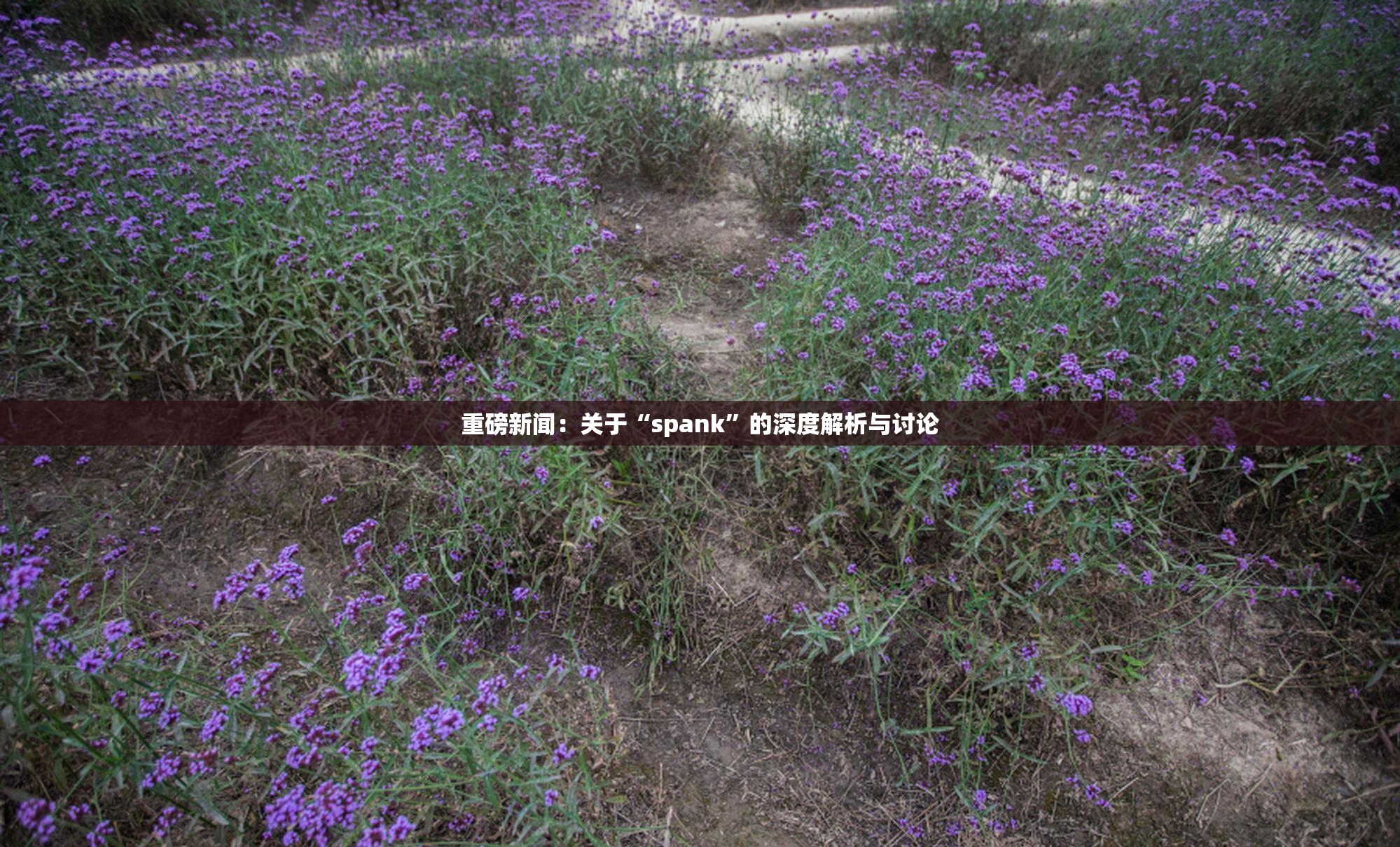 重磅新闻：关于“spank”的深度解析与讨论