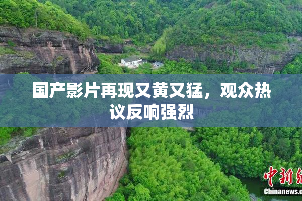 国产影片再现又黄又猛，观众热议反响强烈