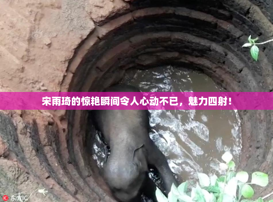 宋雨琦的惊艳瞬间令人心动不已，魅力四射！